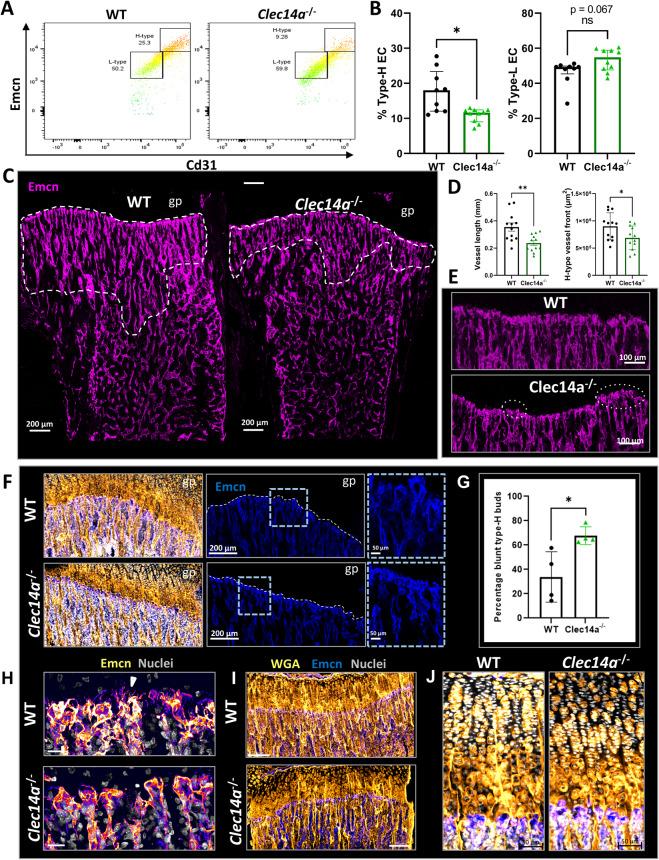 https://cdn.ncbi.nlm.nih.gov/pmc/blobs/3dfc/11470016/0ecbfc9d5f0d/42003_2024_6971_Fig2_HTML.jpg