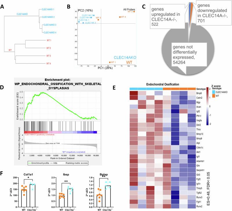 https://cdn.ncbi.nlm.nih.gov/pmc/blobs/3dfc/11470016/62c44454ef0b/42003_2024_6971_Fig5_HTML.jpg