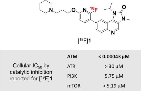 https://cdn.ncbi.nlm.nih.gov/pmc/blobs/3dff/9375819/1024253ee3c6/13550_2022_920_Fig1_HTML.jpg