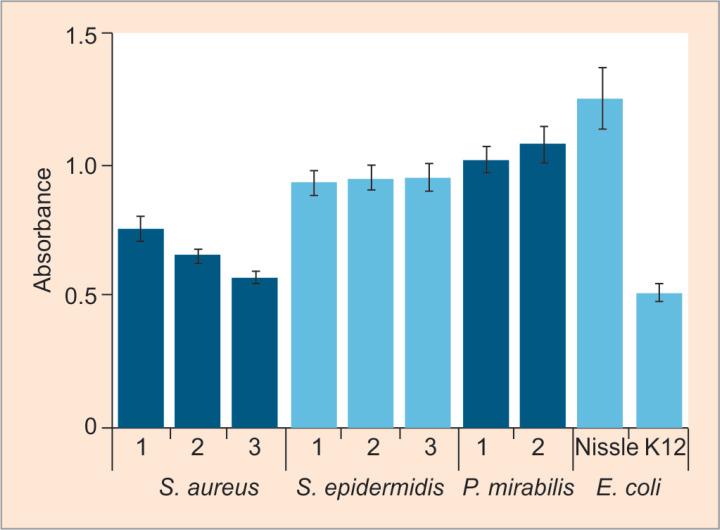 https://cdn.ncbi.nlm.nih.gov/pmc/blobs/3e00/7376582/ea8831c2d365/stlr-14-57-g004.jpg