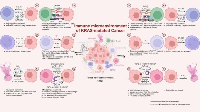 https://cdn.ncbi.nlm.nih.gov/pmc/blobs/3e01/12225162/77676559e805/13046_2025_3444_Fig3_HTML.jpg