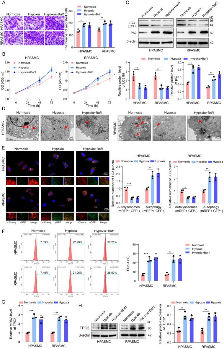 https://cdn.ncbi.nlm.nih.gov/pmc/blobs/3e05/11682160/4e87878432b6/41598_2024_82552_Fig2_HTML.jpg