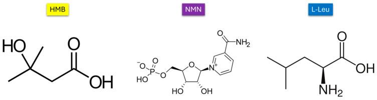 https://cdn.ncbi.nlm.nih.gov/pmc/blobs/3e05/11990474/7211811807f6/molecules-30-01437-g001.jpg