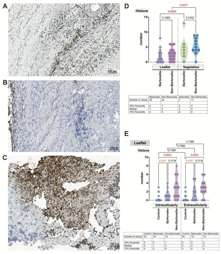 https://cdn.ncbi.nlm.nih.gov/pmc/blobs/3e0a/10778237/e581b83c941c/cells-13-00043-g006.jpg