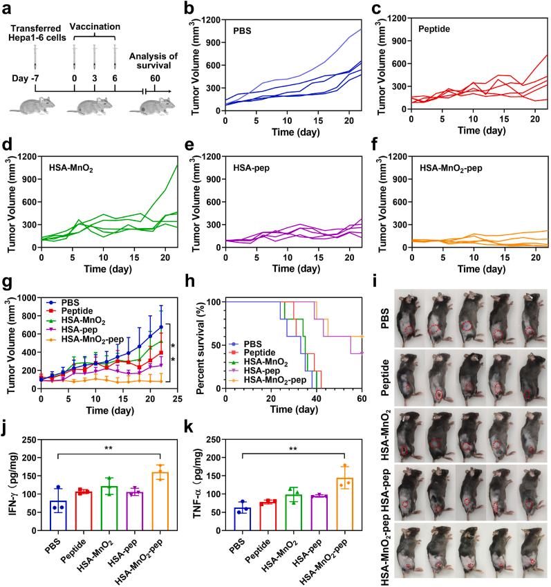 https://cdn.ncbi.nlm.nih.gov/pmc/blobs/3e0d/10835291/0250357928d3/gr5.jpg
