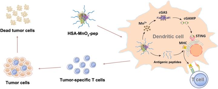 https://cdn.ncbi.nlm.nih.gov/pmc/blobs/3e0d/10835291/6174bd279e48/ga1.jpg