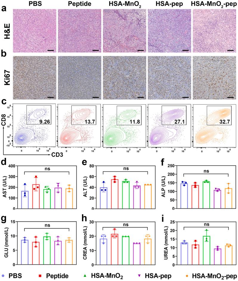 https://cdn.ncbi.nlm.nih.gov/pmc/blobs/3e0d/10835291/c55611b147d2/gr6.jpg