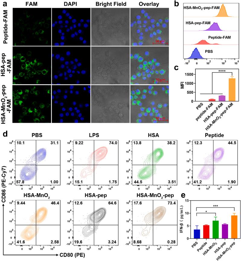 https://cdn.ncbi.nlm.nih.gov/pmc/blobs/3e0d/10835291/e7e68c90f0b3/gr3.jpg