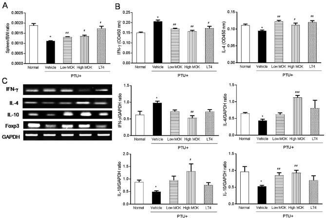 https://cdn.ncbi.nlm.nih.gov/pmc/blobs/3e0f/5995081/e2e58c97eed2/etm-16-01-0310-g07.jpg