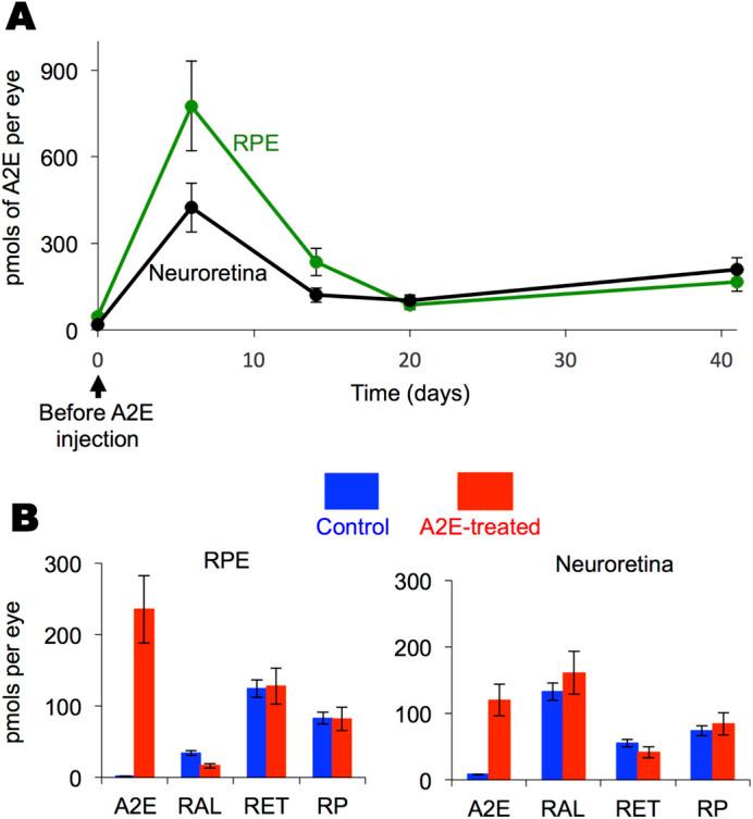 https://cdn.ncbi.nlm.nih.gov/pmc/blobs/3e0f/8649638/2d03a045e020/biolopen-10-058600-g1.jpg