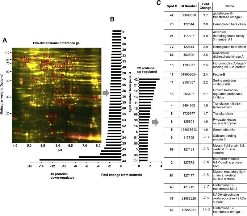 https://cdn.ncbi.nlm.nih.gov/pmc/blobs/3e0f/8649638/f587e4c22e5b/biolopen-10-058600-g7.jpg