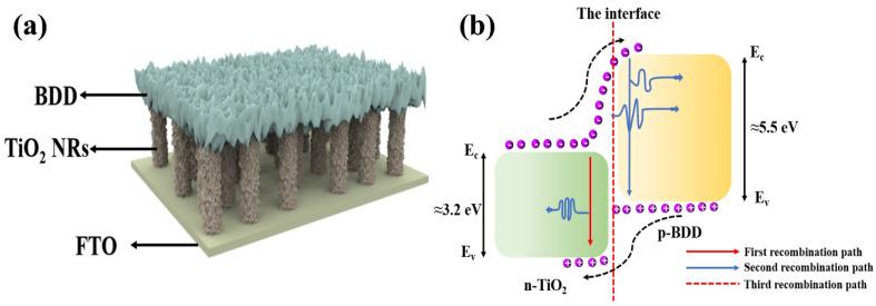https://cdn.ncbi.nlm.nih.gov/pmc/blobs/3e10/12251157/36daedcd1c70/nanomaterials-15-01003-g004.jpg