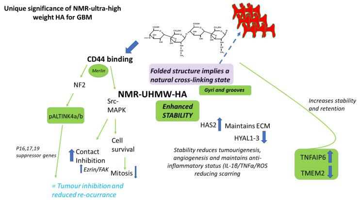 https://cdn.ncbi.nlm.nih.gov/pmc/blobs/3e13/11764969/dd8ab759a326/gels-11-00050-g002.jpg