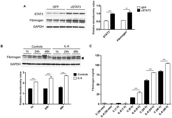 https://cdn.ncbi.nlm.nih.gov/pmc/blobs/3e13/3140523/36c8234db914/pone.0022538.g008.jpg