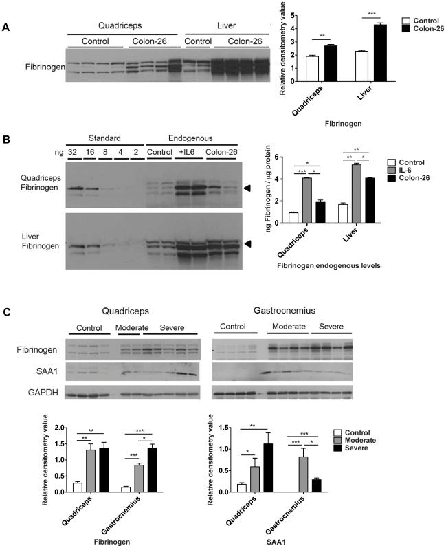https://cdn.ncbi.nlm.nih.gov/pmc/blobs/3e13/3140523/e51950c94f72/pone.0022538.g007.jpg