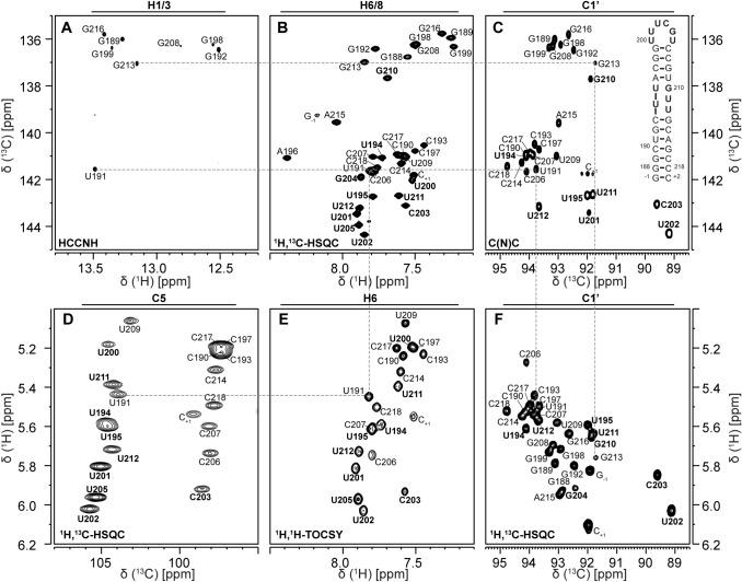 https://cdn.ncbi.nlm.nih.gov/pmc/blobs/3e13/7973922/cdb10a58b19f/12104_2021_10007_Fig1_HTML.jpg