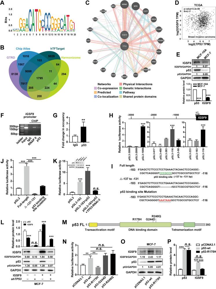 https://cdn.ncbi.nlm.nih.gov/pmc/blobs/3e15/9546770/322d457b78bc/41388_2022_2459_Fig1_HTML.jpg