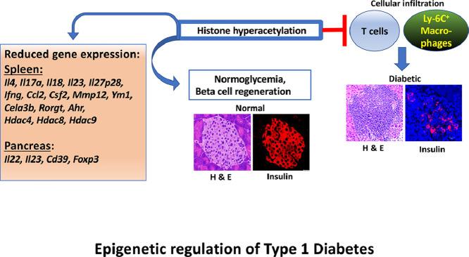 https://cdn.ncbi.nlm.nih.gov/pmc/blobs/3e18/10074972/7b77f0454147/ga1.jpg