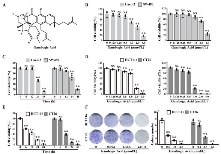 https://cdn.ncbi.nlm.nih.gov/pmc/blobs/3e18/9688471/44447ee0ef19/cancers-14-05505-g001.jpg