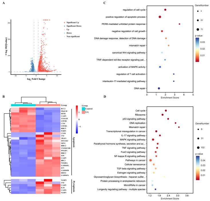 https://cdn.ncbi.nlm.nih.gov/pmc/blobs/3e18/9688471/4932b82bae46/cancers-14-05505-g003.jpg