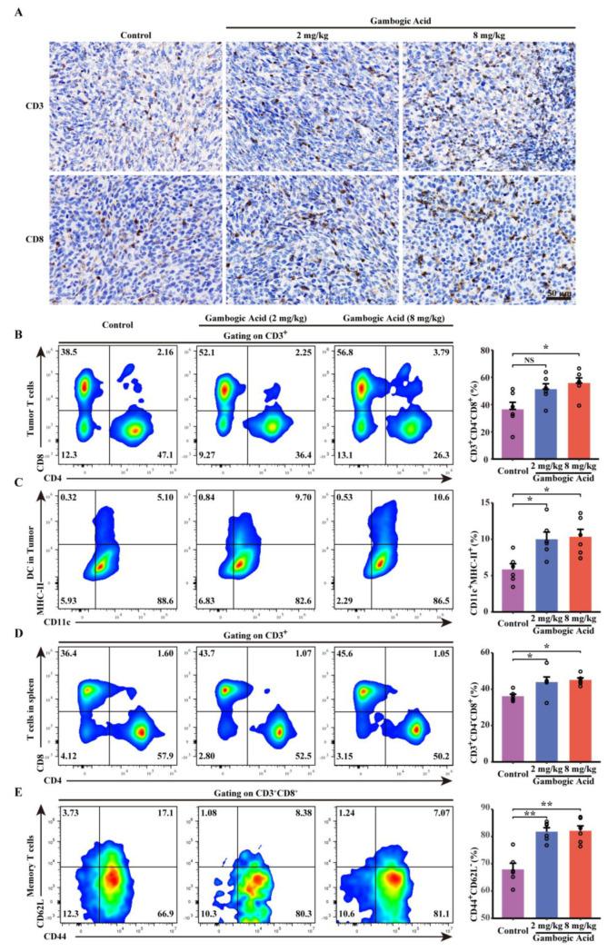 https://cdn.ncbi.nlm.nih.gov/pmc/blobs/3e18/9688471/6028226d2dae/cancers-14-05505-g008.jpg
