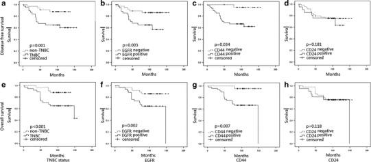 https://cdn.ncbi.nlm.nih.gov/pmc/blobs/3e19/4246130/176c5413c042/12032_2014_275_Fig2_HTML.jpg