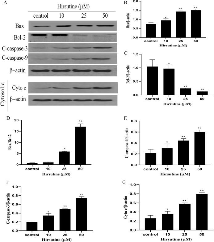 https://cdn.ncbi.nlm.nih.gov/pmc/blobs/3e1a/7863788/a48ab51df79b/peerj-09-10692-g005.jpg