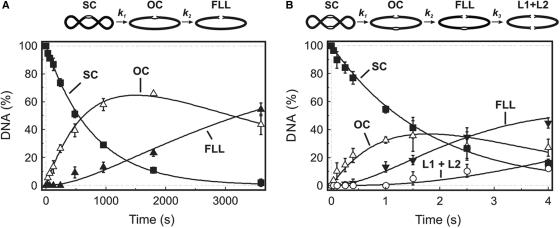 https://cdn.ncbi.nlm.nih.gov/pmc/blobs/3e1b/2241918/e2c4d15ca6d5/gkm1090f6.jpg
