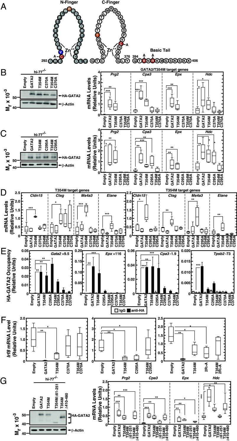 https://cdn.ncbi.nlm.nih.gov/pmc/blobs/3e1c/10927522/551bfdf66653/pnas.2317147121fig03.jpg