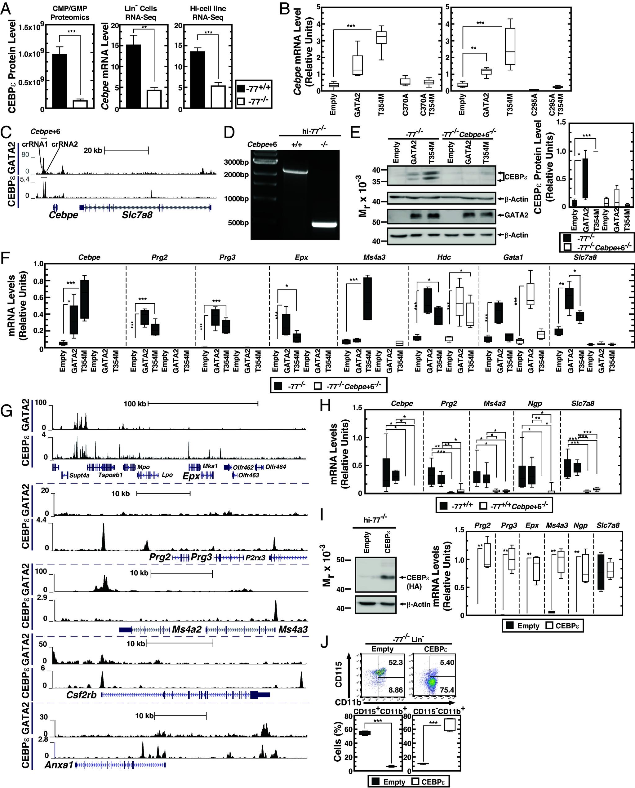https://cdn.ncbi.nlm.nih.gov/pmc/blobs/3e1c/10927522/c55a5839db8d/pnas.2317147121fig05.jpg