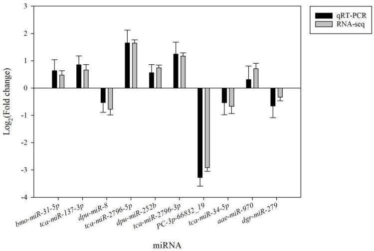 https://cdn.ncbi.nlm.nih.gov/pmc/blobs/3e1c/12026910/ed7c63715562/genes-16-00435-g004.jpg