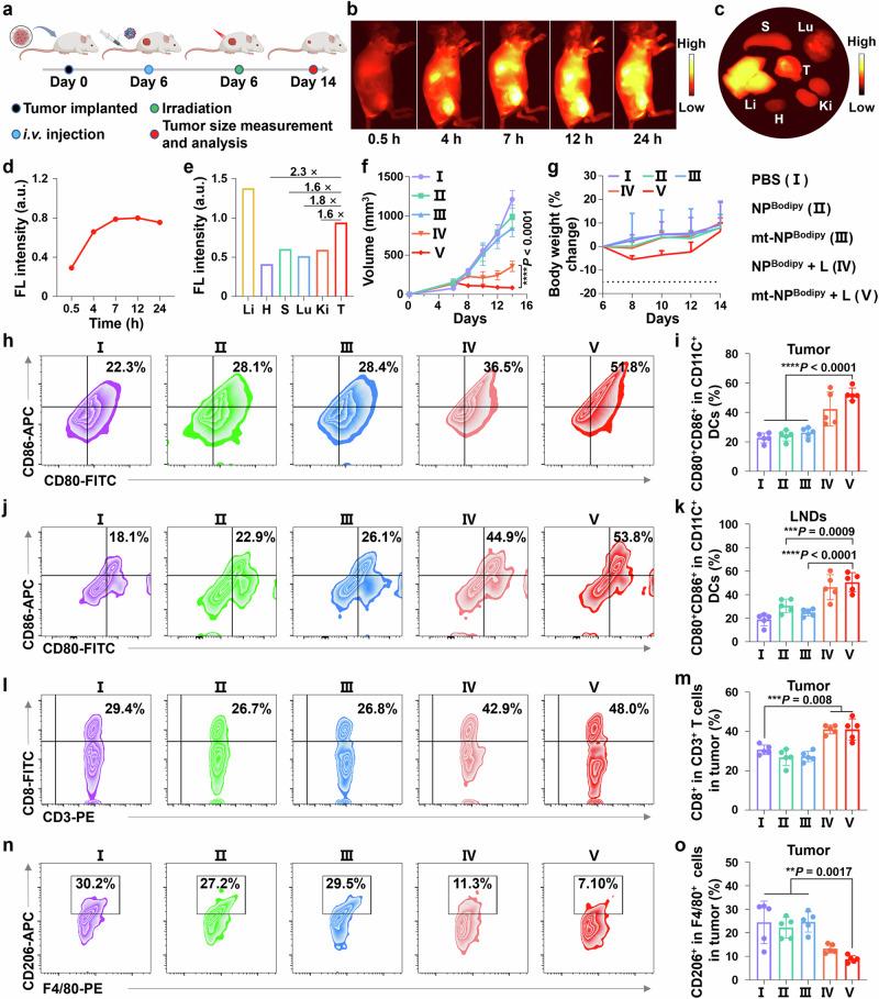 https://cdn.ncbi.nlm.nih.gov/pmc/blobs/3e1d/11255282/1f1c40b3ea93/41467_2024_50020_Fig6_HTML.jpg