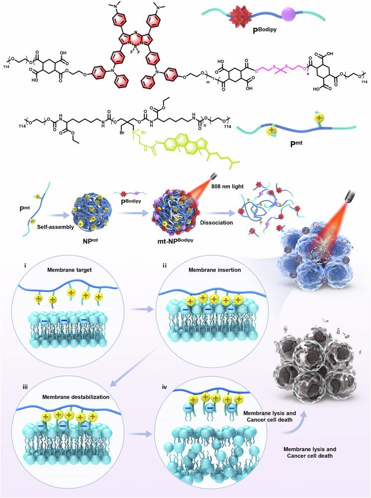 https://cdn.ncbi.nlm.nih.gov/pmc/blobs/3e1d/11255282/6389b564315b/41467_2024_50020_Fig1_HTML.jpg