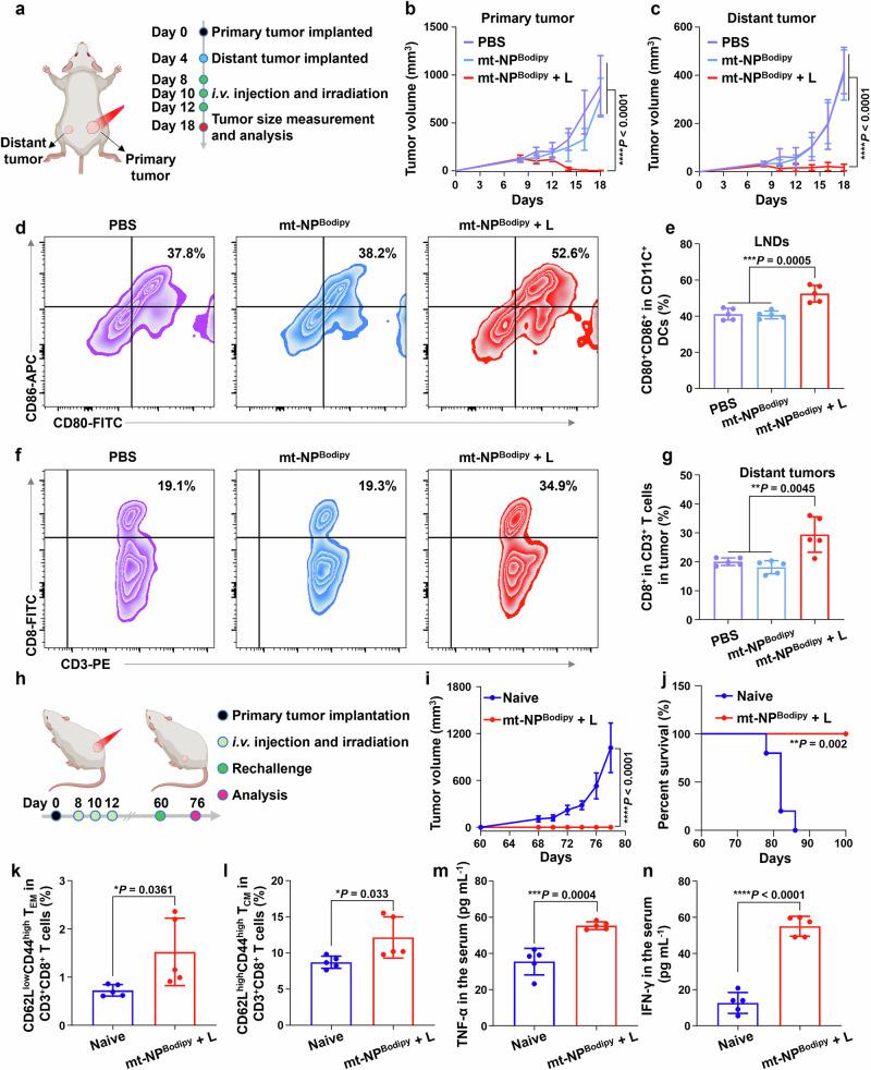 https://cdn.ncbi.nlm.nih.gov/pmc/blobs/3e1d/11255282/a048564634e9/41467_2024_50020_Fig7_HTML.jpg