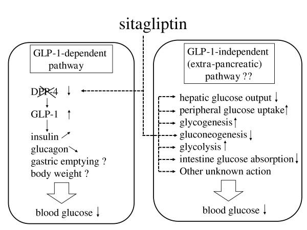 https://cdn.ncbi.nlm.nih.gov/pmc/blobs/3e1e/3079672/2c528e58630c/1752-1947-5-117-2.jpg