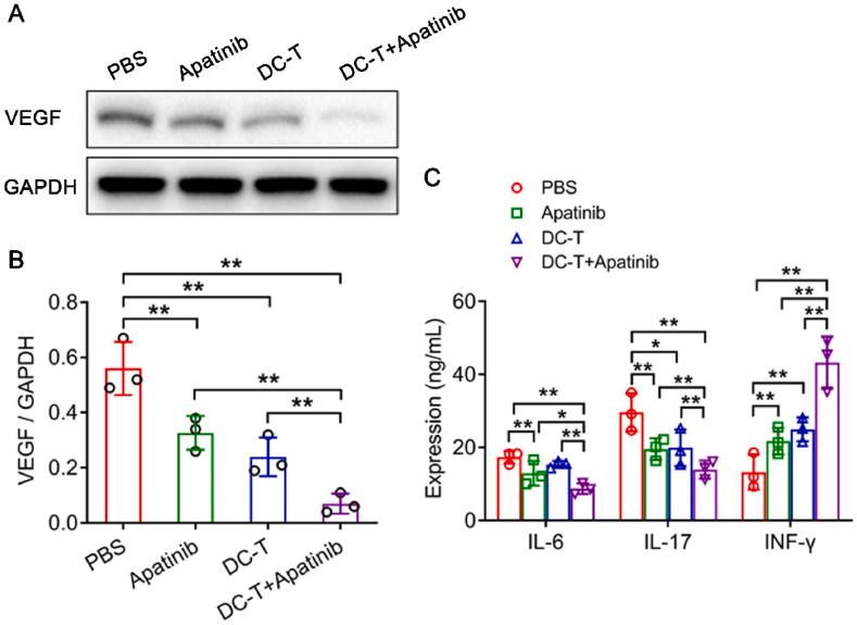 https://cdn.ncbi.nlm.nih.gov/pmc/blobs/3e21/11367533/e388f0274a17/gr5.jpg