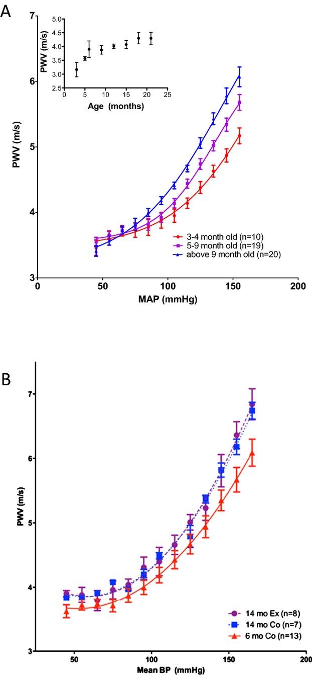 https://cdn.ncbi.nlm.nih.gov/pmc/blobs/3e22/4187484/6a139b7b5602/jah3-3-e000599-g6.jpg