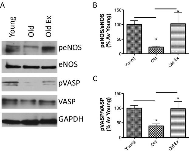 https://cdn.ncbi.nlm.nih.gov/pmc/blobs/3e22/4187484/807f7c8e947f/jah3-3-e000599-g2.jpg