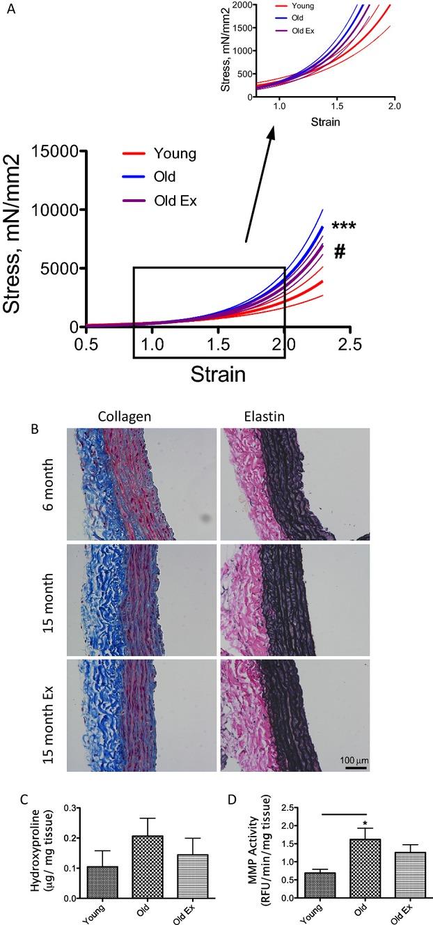 https://cdn.ncbi.nlm.nih.gov/pmc/blobs/3e22/4187484/ba6b712f7479/jah3-3-e000599-g5.jpg