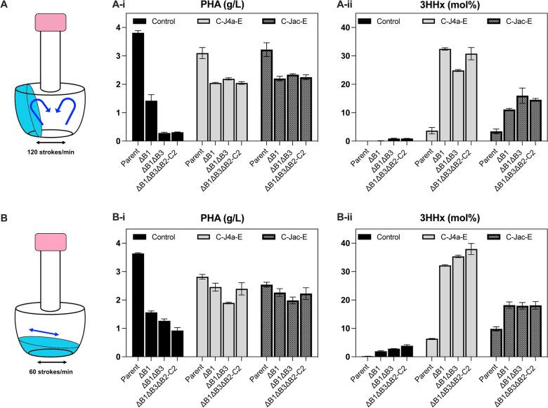 https://cdn.ncbi.nlm.nih.gov/pmc/blobs/3e25/10788006/4a0d6f4505f2/12934_2024_2294_Fig4_HTML.jpg