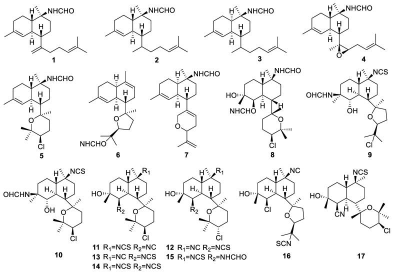 https://cdn.ncbi.nlm.nih.gov/pmc/blobs/3e26/11509224/09a9303142af/marinedrugs-22-00447-g003.jpg