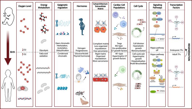 https://cdn.ncbi.nlm.nih.gov/pmc/blobs/3e27/11754855/9e5012f09914/41536_2025_394_Fig1_HTML.jpg