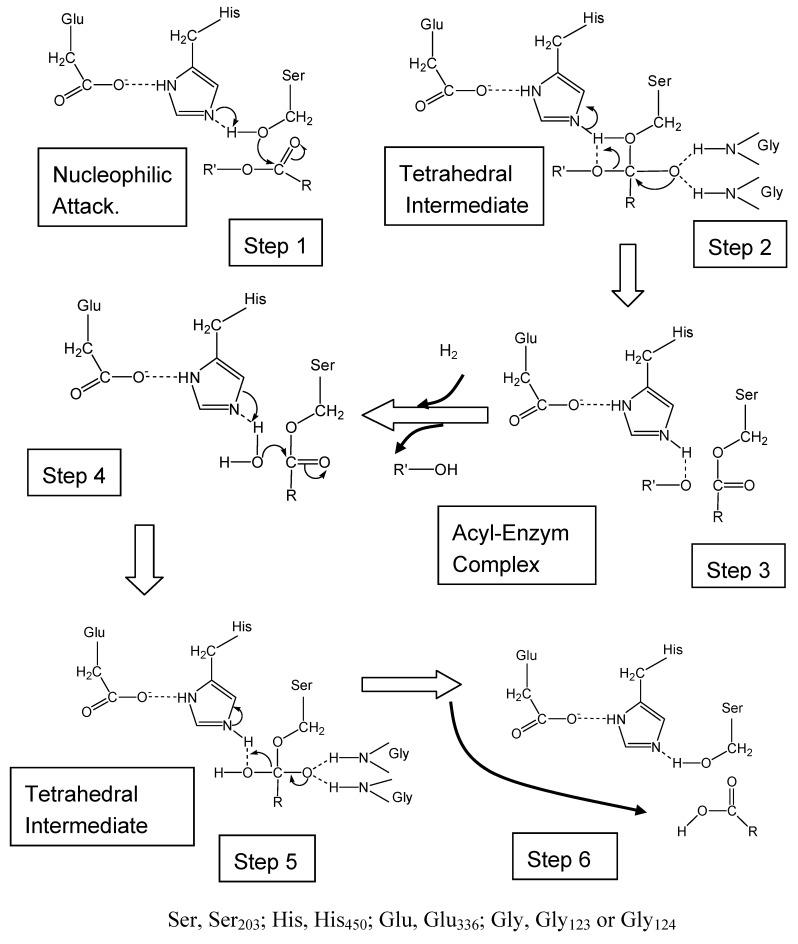 https://cdn.ncbi.nlm.nih.gov/pmc/blobs/3e28/6245361/72b4fddb0f10/molecules-13-00412-g003.jpg