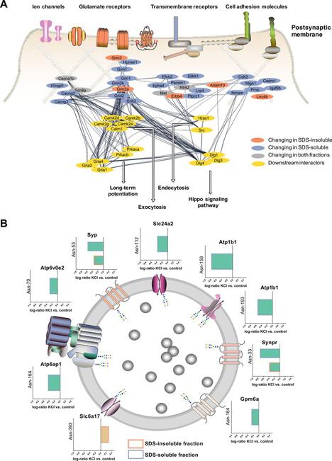 https://cdn.ncbi.nlm.nih.gov/pmc/blobs/3e29/8143646/7bedcc867d44/gr4.jpg
