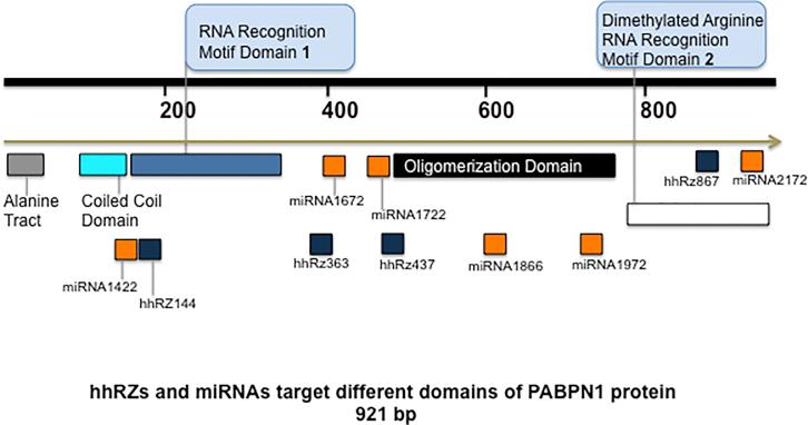 https://cdn.ncbi.nlm.nih.gov/pmc/blobs/3e2a/6403420/2f006cd1c5c1/gr1.jpg