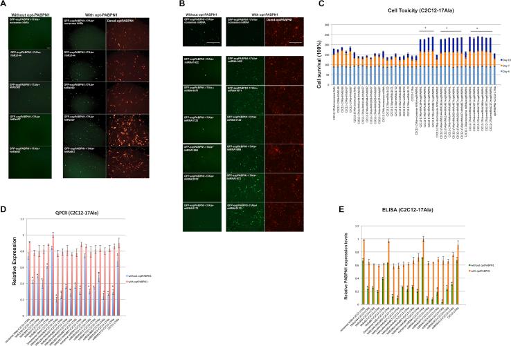 https://cdn.ncbi.nlm.nih.gov/pmc/blobs/3e2a/6403420/769852de999e/gr7.jpg