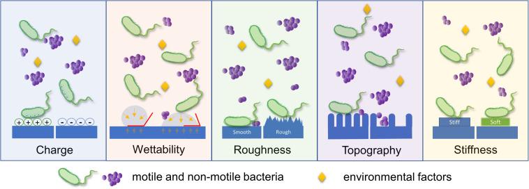 https://cdn.ncbi.nlm.nih.gov/pmc/blobs/3e2a/7907602/b7509d71ec94/fbioe-09-643722-g001.jpg