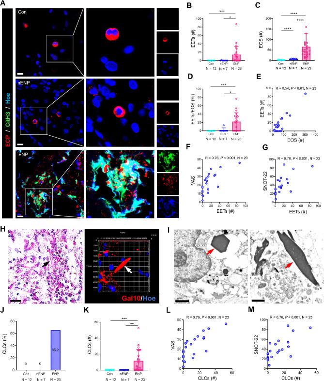 https://cdn.ncbi.nlm.nih.gov/pmc/blobs/3e2b/12057054/7b0a0be19fdf/12964_2025_2217_Fig3_HTML.jpg