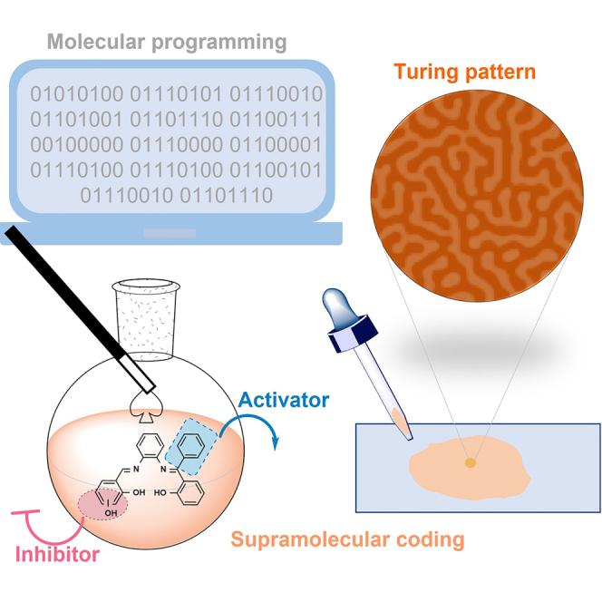 https://cdn.ncbi.nlm.nih.gov/pmc/blobs/3e2c/9209723/335a5100e2b6/fx1.jpg