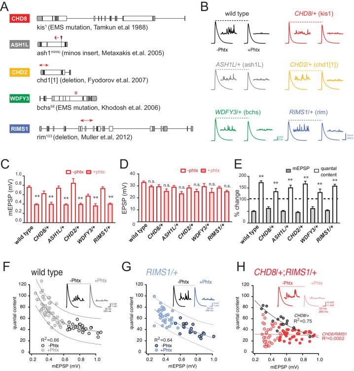https://cdn.ncbi.nlm.nih.gov/pmc/blobs/3e2f/7394548/4194ec426ee1/elife-55775-fig1.jpg